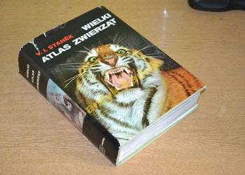 Wielki atlas zwierząt Stanek na sprzedaż  Osięciny