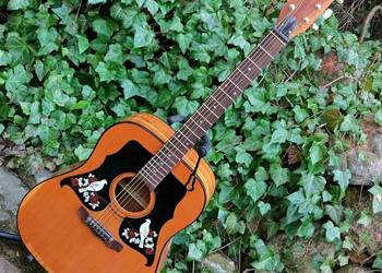 Używany, Gitara akustyczna K-550, Eko Ranger, Italy na sprzedaż  Tuszyn