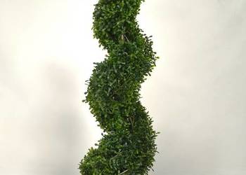 Drzewko kwiat roślina egzotyczna sztuczny krzak bukszpan spirala 120cm na sprzedaż  Wąbrzeźno