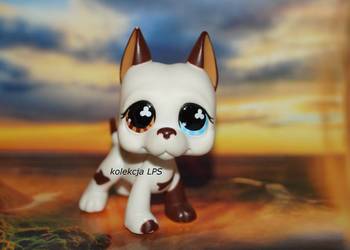 Używany, LPS DOG niemiecki #577 UNIKAT oryginalny Littlest Pet Shop na sprzedaż  Rybnik