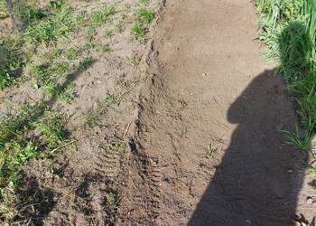 Używany, Kultywator ogrodowy 60cm 3 biegi, dzik, traktorek na sprzedaż  Konin