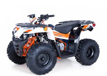 Quad Kayo AU125 na sprzedaż  Starogard Gdański