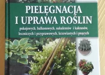 Pielęgnacja i uprawa roślin pokojowych, balkonowych... SAMP na sprzedaż  Radom