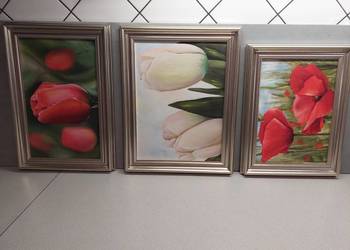 Kwiaty w jasnozłotej ramie ( trzy obrazy) na sprzedaż  Wrocław