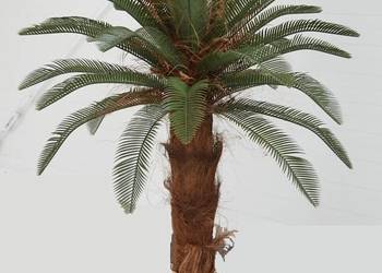 Piękna palma do ogrodu sztuczny Cykas 1,5m donica na sprzedaż  Wąbrzeźno