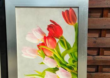 Obrazek plakat Tulipany w ramie 63x83 na sprzedaż  Warszawa