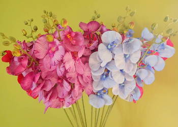 Storczyk ozdobny gałązka 8 kwiatów, duży, piękny. Kolory na sprzedaż  Siewierz