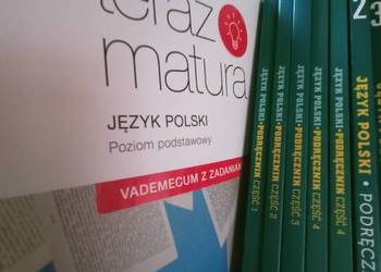 Polski vademecum maturzysty operon księgarnia internetowa na sprzedaż  Warszawa