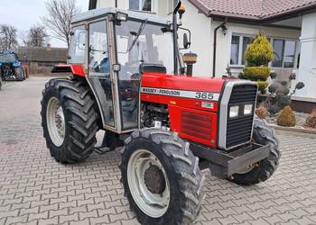 Ciągnik Massey Ferguson 365 sprowadzony 2100 mtg jak ursus 4514 / 3514 na sprzedaż  Radom