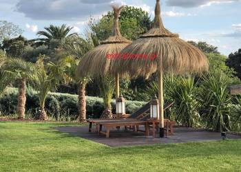 Parasol tropikalny parasol tiki parasol Hawajski Ekskluzywn na sprzedaż  Wrocław