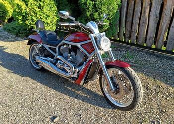 Harley Davidson V-Rod na sprzedaż  Bochnia