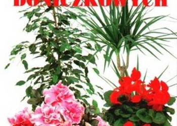 kwiaty doniczkowe na sprzedaż kwiaty doniczkowe na sprzedaż Kętrzyn
