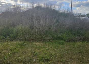 ziemie oddam na sprzedaż ziemie oddam na sprzedaż Ślesin