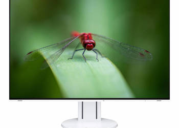 Monitor Eizo Flexscan Ev2457 24&quot; Ips 1920X1200 (16:10) Biały |Klasa A| na sprzedaż  Pyskowice
