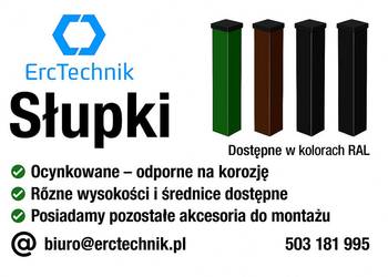 Słupki Ogrodzeniowe 60x40 na sprzedaż  Torzym