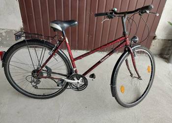 rower Triumph , koła 26 / 88 na sprzedaż  Byczyna