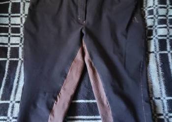 Spodnie Jeździeckie Bryczesy damskie Equilibra roz L  Mierzo, używany na sprzedaż  Jelenia Góra