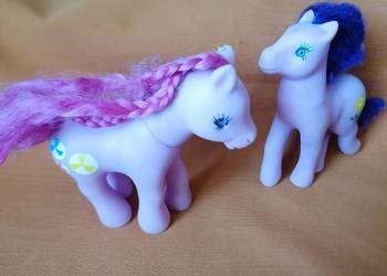 koniki pony na sprzedaż koniki pony na sprzedaż Łódź