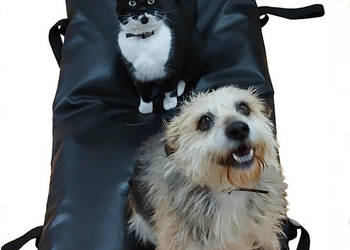 Posłanie legowisko dla psa i kota GRANULAT STYROPIANOWY, używany na sprzedaż  Zrębice