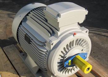 silnik elektryczny 55kw 1485 obr na sprzedaż  Szamotuły