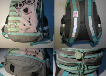 Plecak PASO szkolny z odblaskami Studio Pets, 25 L. na sprzedaż  Olsztyn