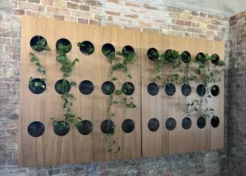 Kwietnik ścienny / planter / żywa ściana na sprzedaż  Szczecin
