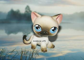 LPS shorthair #5 UNIKAT oryginalny Littlest Pet Shop magnes na sprzedaż  Rybnik