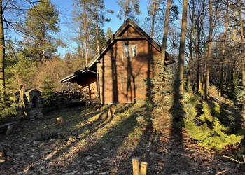 Nietuzinkowy dom z drewna w Ciepielowie. na sprzedaż  Ciepielów
