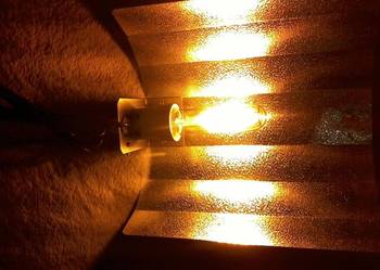 lampa hps na sprzedaż lampa hps na sprzedaż Konin