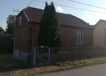 Dom z ogrodem i dwoma garażami na sprzedaż  Czechów