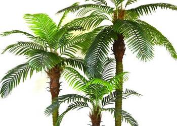 Palmy duże 3 sztuki sztuczne drzewka palma roślinność na sprzedaż  Wąbrzeźno