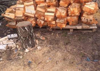 Drewno kominkowo opalowe na sprzedaż  Jelenia Góra
