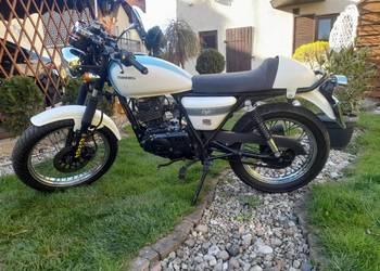 Sinnis Cafe Racer  125 na sprzedaż  Wapno