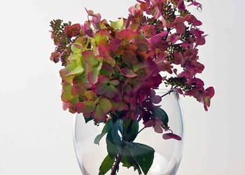 Szklany wazon bezbarwna KULA wysoka jakość grube szkło na sprzedaż  Rynarzewo