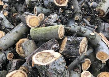 Drewno opałowe na sprzedaż  Paprocin