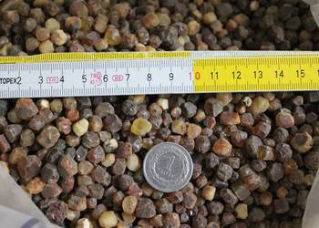 BURSZTYN surowy naturalny kulki o średnicy 3-9 mm 800 zł/kg na sprzedaż  Wieluń