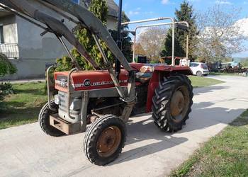 massey ferguson 235 na sprzedaż  Sieradz