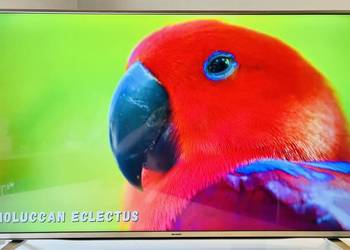 TV Sharp 49&quot; 4K UHD WIFI SMART TV na sprzedaż  Osuchów