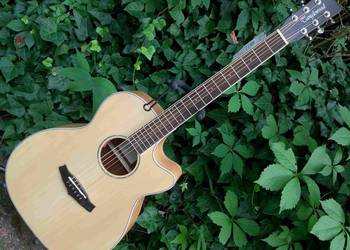Nowa gitara elektro akustyczna Tanglewood  TPE-SFCE-LS na sprzedaż  Tuszyn