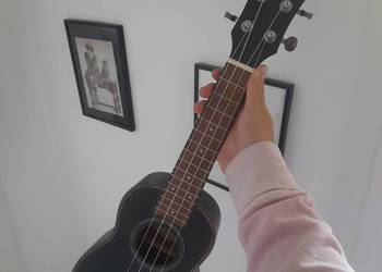 Ukulele z akcesoriami na sprzedaż  Szczecin