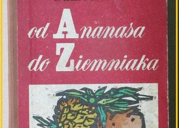Używany, Od ananasa do ziemniaka - I.Gumowska / Górnicka / zioła na sprzedaż  Łódź