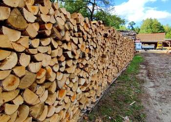 Drewno Poznań  kominkowe opałowe sezonowane różne gatunki na sprzedaż  Poznań