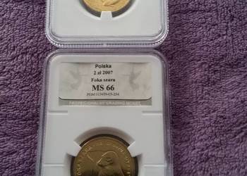 Używany, Moneta 2 złote Morświn, Foka Szara granding PGM na sprzedaż  Katowice