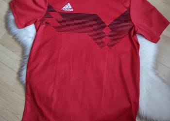 Męska czerwona koszulka sportowa Adidas Climalite rozmiar M na sprzedaż  Olkusz