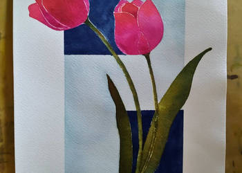 obraz tulipany na sprzedaż  Lwówek