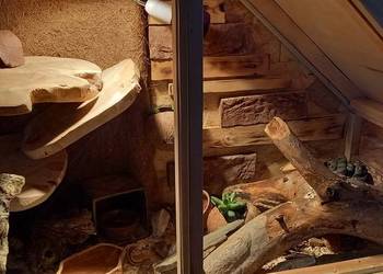 Terrarium dla gekona lamparciego żółwia kameleona na sprzedaż  Opole