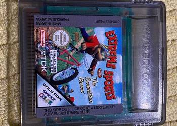 Game Boy Color cartrige Extreme Sports na sprzedaż  Gliwice