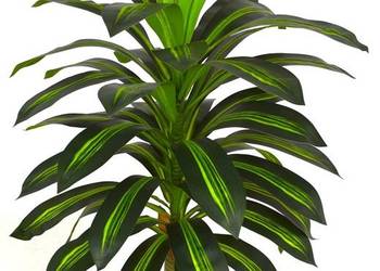 Palma drzewko kwiat roślina egzotyczna sztuczna Dracena 100cm, używany na sprzedaż  Wąbrzeźno