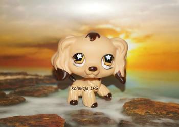 LPS Littlest Pet Shop spaniel #575 oryginalny oryginał POP na sprzedaż  Rybnik