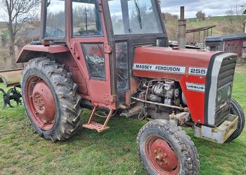 Sprzedam MF 255, używany na sprzedaż  Krasnystaw